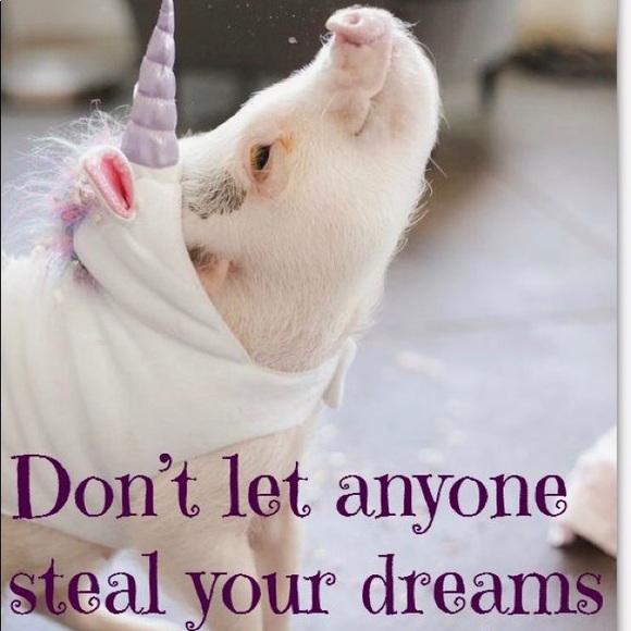 Hello Beautiful!! - Picture 7 of 8